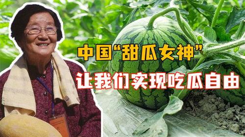 文化吃瓜人,品味人生百态的趣味解读