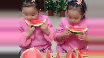 双胞胎吃瓜,双胞胎兄弟的奇妙吃瓜之旅