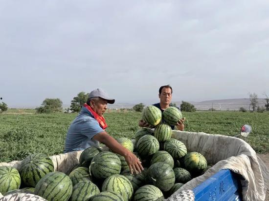 田娃吃瓜,揭秘娱乐圈背后的秘密与八卦