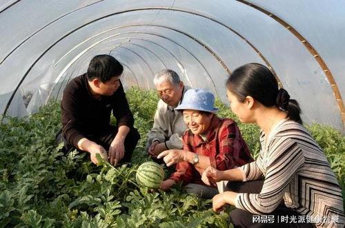牛队长吃瓜大队,吃瓜大队揭秘娱乐圈风云
