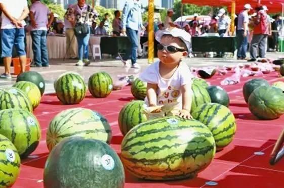 王吃瓜,揭秘娱乐圈幕后故事