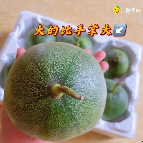 小辰的吃瓜,揭秘娱乐圈那些事儿